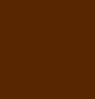 Arctic Frog - Bean Counter 12x12 patterned paper  Dark Roast  solid cardstock (pack of 10)